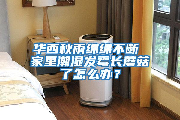 華西秋雨綿綿不斷 家里潮濕發霉長蘑菇了怎么辦？