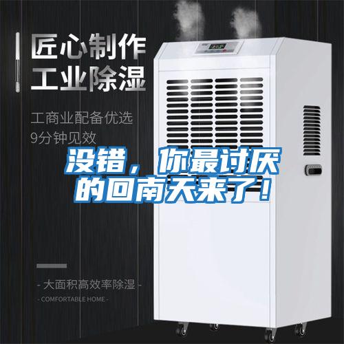 沒錯，你最討厭的回南天來了！