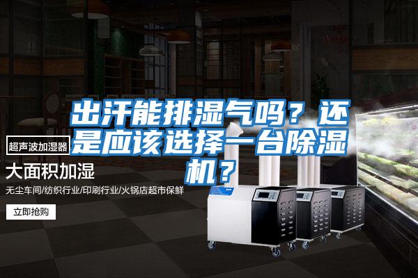 出汗能排濕氣嗎？還是應該選擇一臺除濕機？
