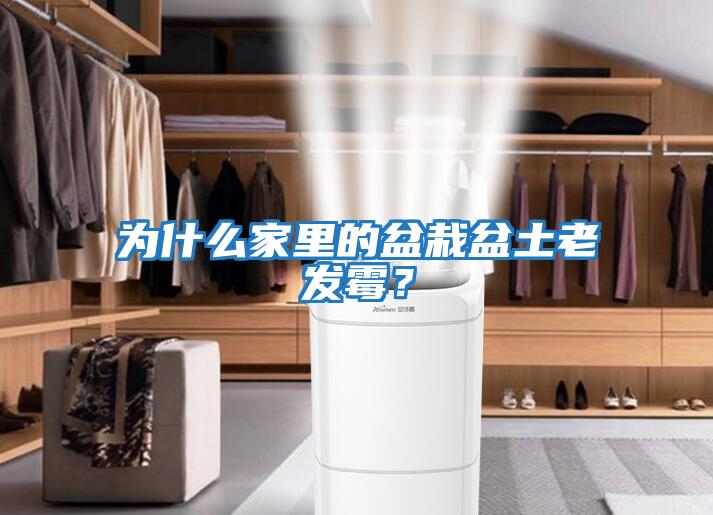 為什么家里的盆栽盆土老發霉？