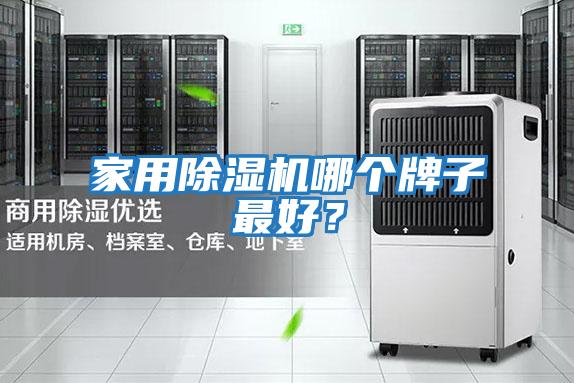 家用除濕機(jī)哪個牌子最好？