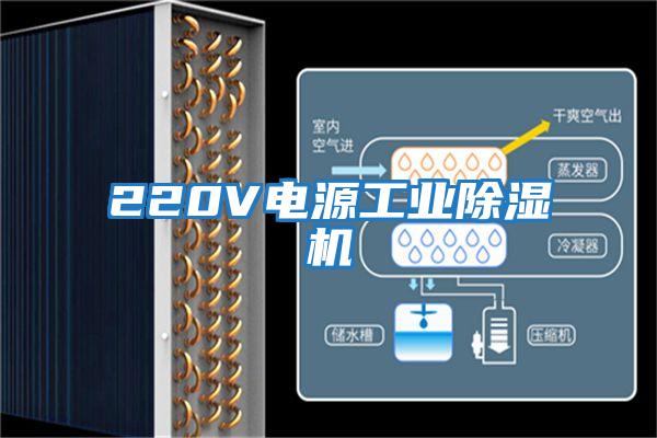 220V電源工業除濕機