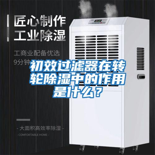 初效過濾器在轉輪除濕中的作用是什么?