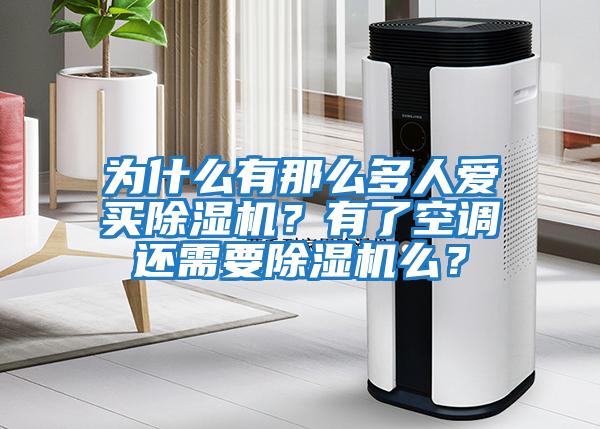 為什么有那么多人愛買除濕機？有了空調還需要除濕機么？