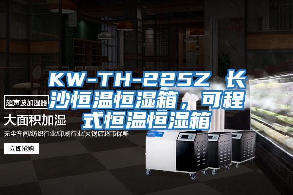 KW-TH-225Z 長(zhǎng)沙恒溫恒濕箱，可程式恒溫恒濕箱
