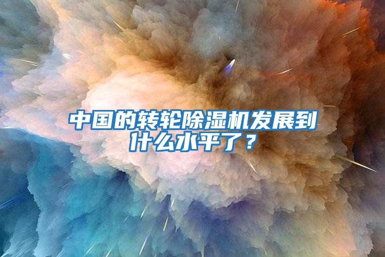 中國的轉輪除濕機發展到什么水平了？