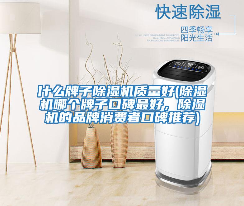 什么牌子除濕機質量好(除濕機哪個牌子口碑最好，除濕機的品牌消費者口碑推薦)