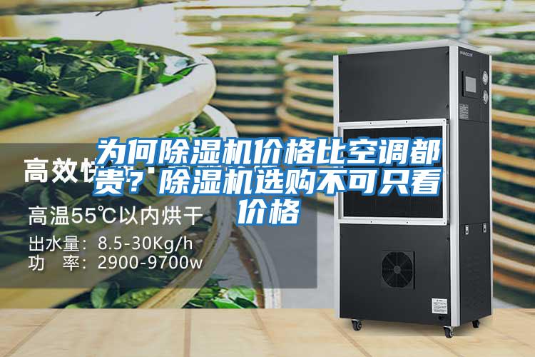 為何除濕機價格比空調都貴?除濕機選購不可只看價格