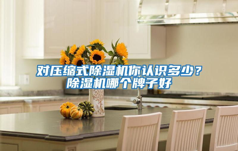 對(duì)壓縮式除濕機(jī)你認(rèn)識(shí)多少？除濕機(jī)哪個(gè)牌子好