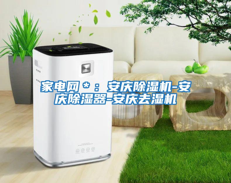 家電網*:安慶除濕機-安慶除濕器-安慶去濕機