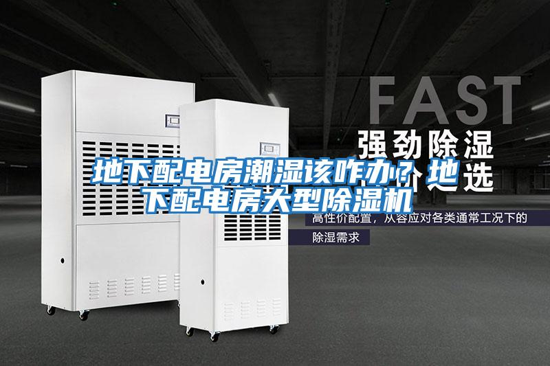 地下配電房潮濕該咋辦？地下配電房大型除濕機