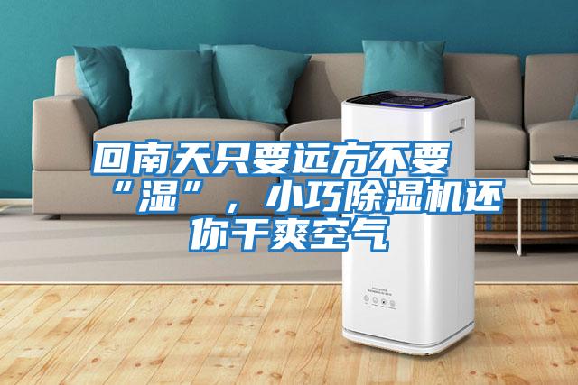 回南天只要遠(yuǎn)方不要“濕”,小巧除濕機(jī)還你干爽空氣