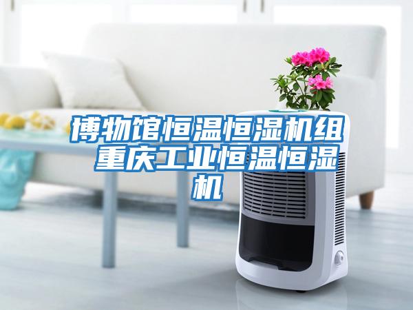博物館恒溫恒濕機組 重慶工業恒溫恒濕機