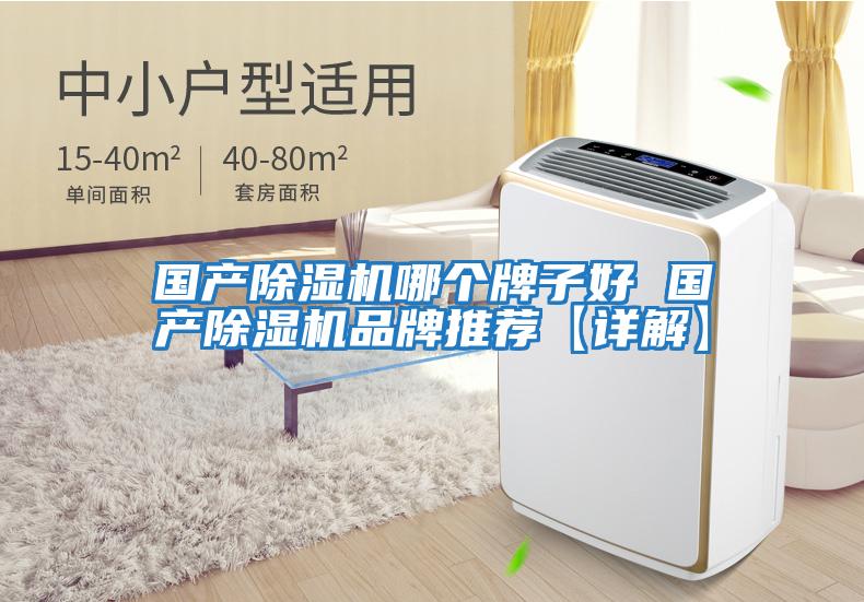 國產除濕機哪個牌子好 國產除濕機品牌推薦【詳解】