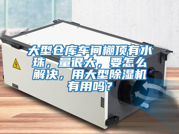 大型倉庫車間棚頂有水珠，量很大，要怎么解決，用大型除濕機(jī)有用嗎？