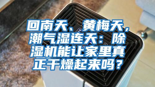 回南天、黃梅天，潮氣濕連天：除濕機(jī)能讓家里真正干燥起來(lái)嗎？