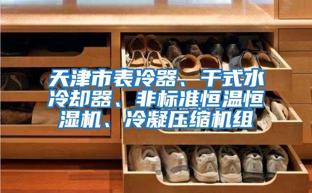 天津市表冷器、干式水冷卻器、非標(biāo)準(zhǔn)恒溫恒濕機(jī)、冷凝壓縮機(jī)組