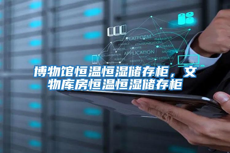博物館恒溫恒濕儲(chǔ)存柜,文物庫(kù)房恒溫恒濕儲(chǔ)存柜