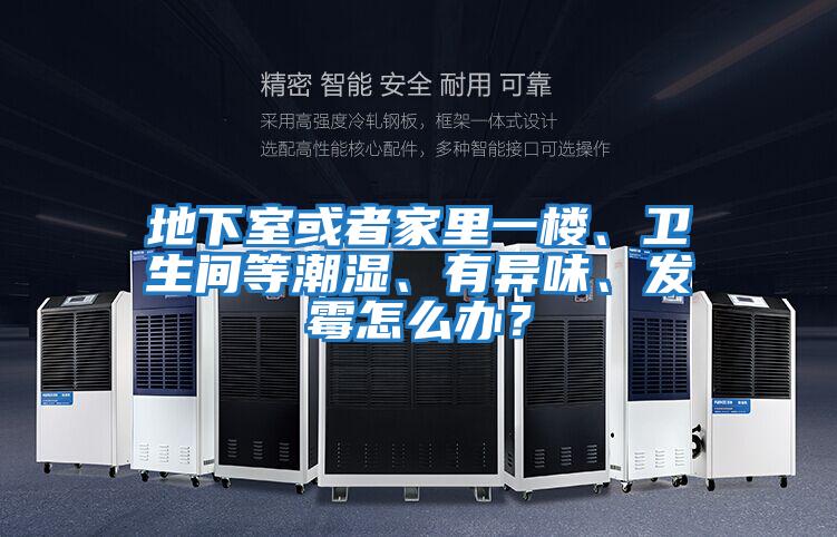 地下室或者家里一樓、衛生間等潮濕、有異味、發霉怎么辦?