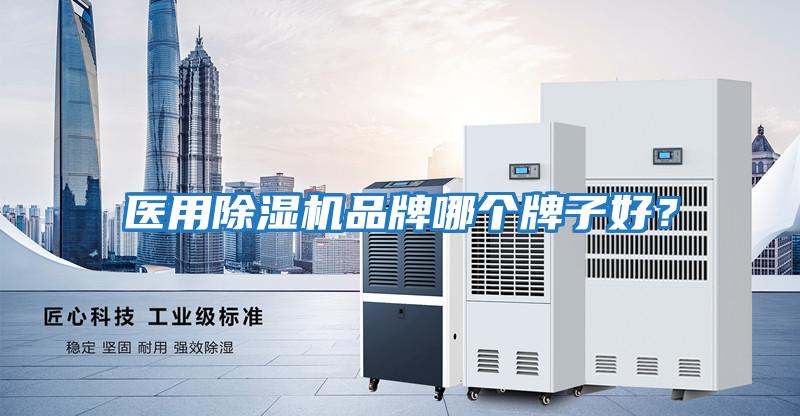 醫用除濕機品牌哪個牌子好？