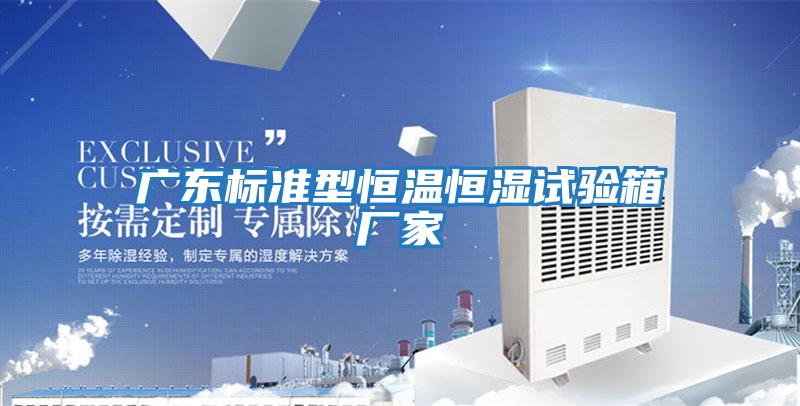 廣東標(biāo)準(zhǔn)型恒溫恒濕試驗箱廠家