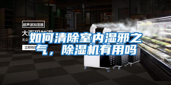 如何清除室內濕邪之氣，除濕機有用嗎