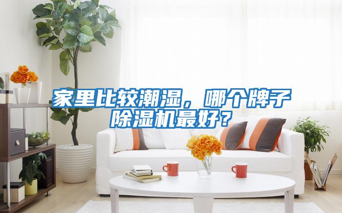 家里比較潮濕，哪個牌子除濕機(jī)最好？