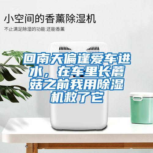 回南天偏逢愛車進水，在車?yán)镩L蘑菇之前我用除濕機救了它
