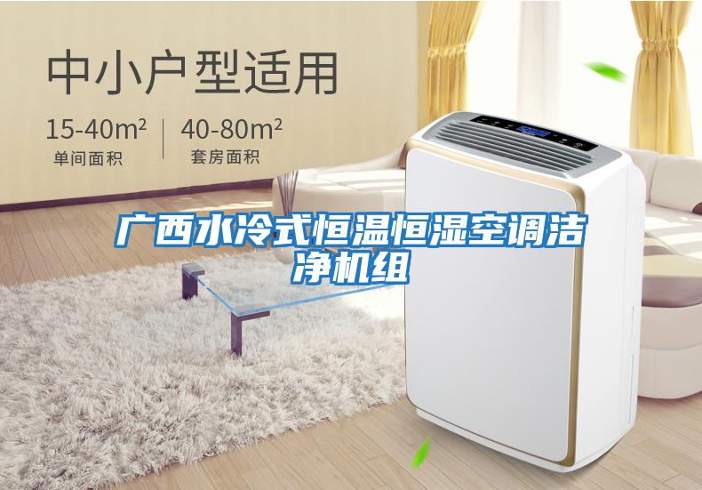 廣西水冷式恒溫恒濕空調(diào)潔凈機組