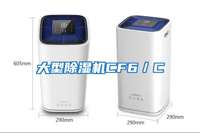 大型除濕機(jī)CF6/C
