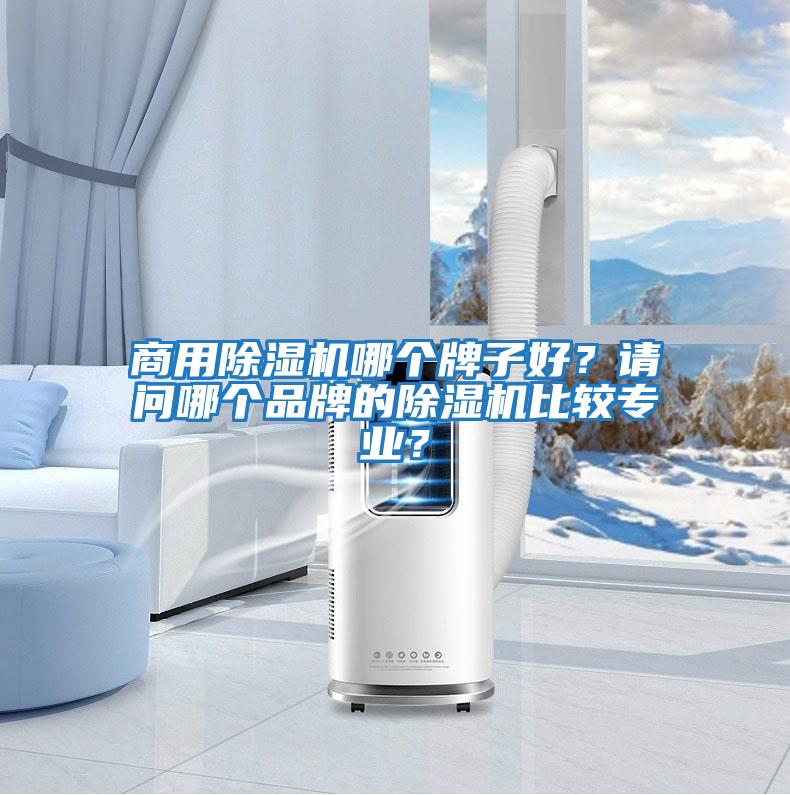 商用除濕機哪個牌子好？請問哪個品牌的除濕機比較專業？