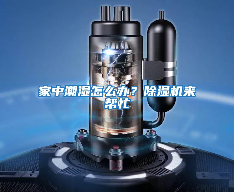 家中潮濕怎么辦？除濕機(jī)來(lái)幫忙