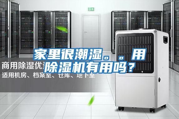 家里很潮濕。。用除濕機有用嗎？