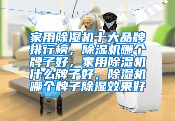 家用除濕機十大品牌排行榜，除濕機哪個牌子好，家用除濕機什么牌子好，除濕機哪個牌子除濕效果好