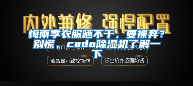 梅雨季衣服曬不干，要裸奔？別慌，cado除濕機了解一下