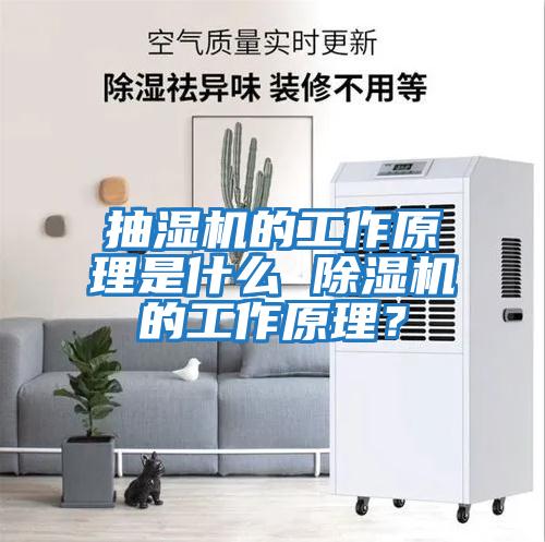 抽濕機的工作原理是什么 除濕機的工作原理？