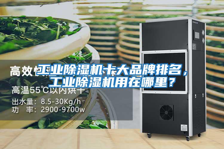 工業除濕機十大品牌排名，工業除濕機用在哪里？