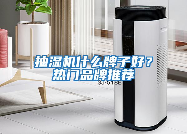 抽濕機什么牌子好？熱門品牌推薦