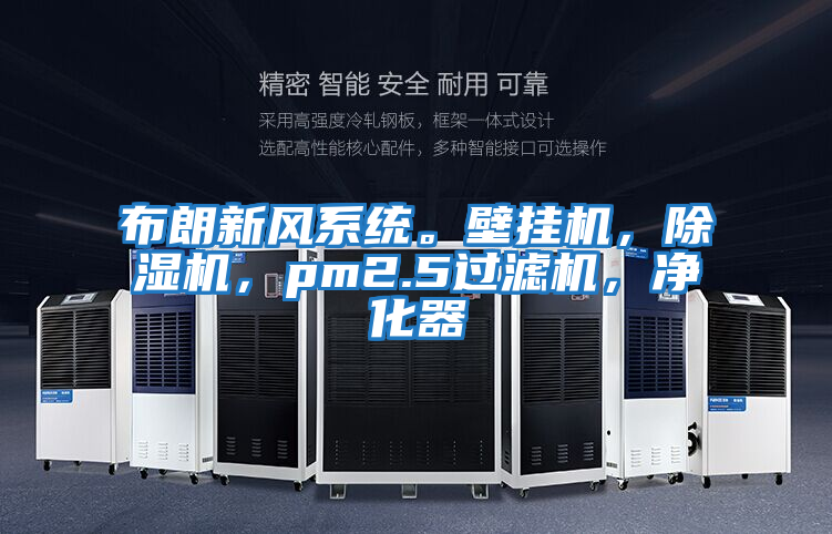 布朗新風(fēng)系統(tǒng)。壁掛機,除濕機,pm2.5過濾機,凈化器