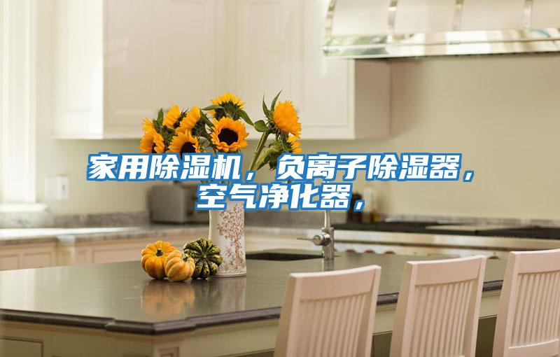 家用除濕機,負離子除濕器,空氣凈化器,