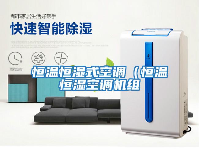 恒溫恒濕式空調(diào)（恒溫恒濕空調(diào)機組