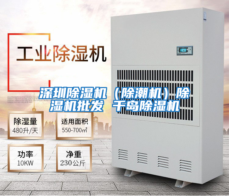 深圳除濕機(除潮機)除濕機批發(fā) 千島除濕機