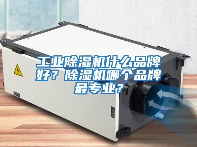 工業(yè)除濕機什么品牌好？除濕機哪個品牌最專業(yè)？