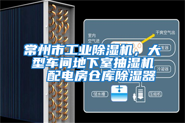 常州市工業(yè)除濕機(jī),大型車(chē)間地下室抽濕機(jī) 配電房倉(cāng)庫(kù)除濕器