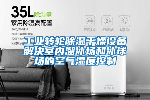 工業轉輪除濕干燥設備解決室內溜冰場和冰球場的空氣濕度控制