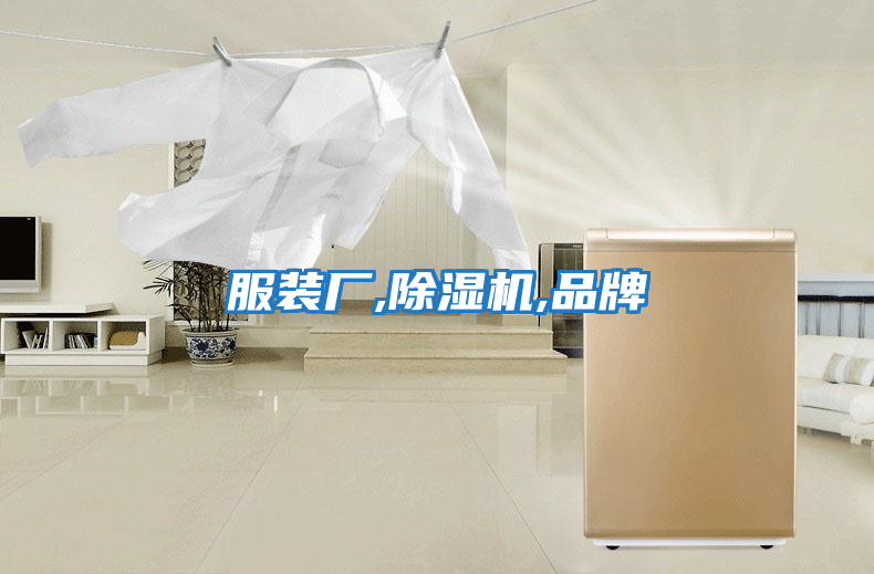 服裝廠(chǎng),除濕機(jī),品牌