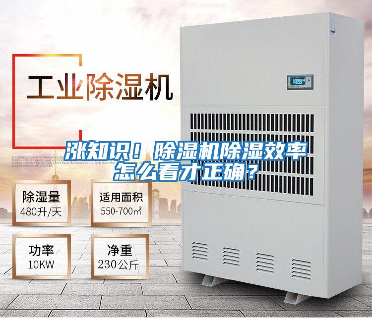 漲知識！除濕機除濕效率怎么看才正確？