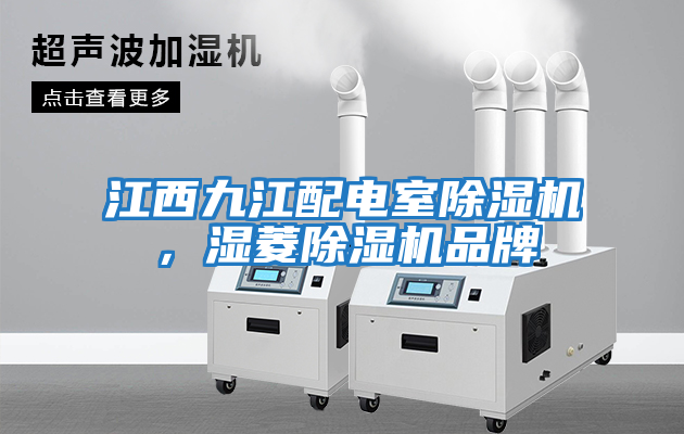 江西九江配電室除濕機(jī)，濕菱除濕機(jī)品牌