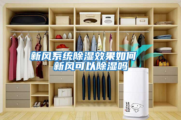 新風系統除濕效果如何 新風可以除濕嗎