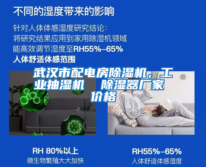 武漢市配電房除濕機，工業抽濕機  除濕器廠家 價格